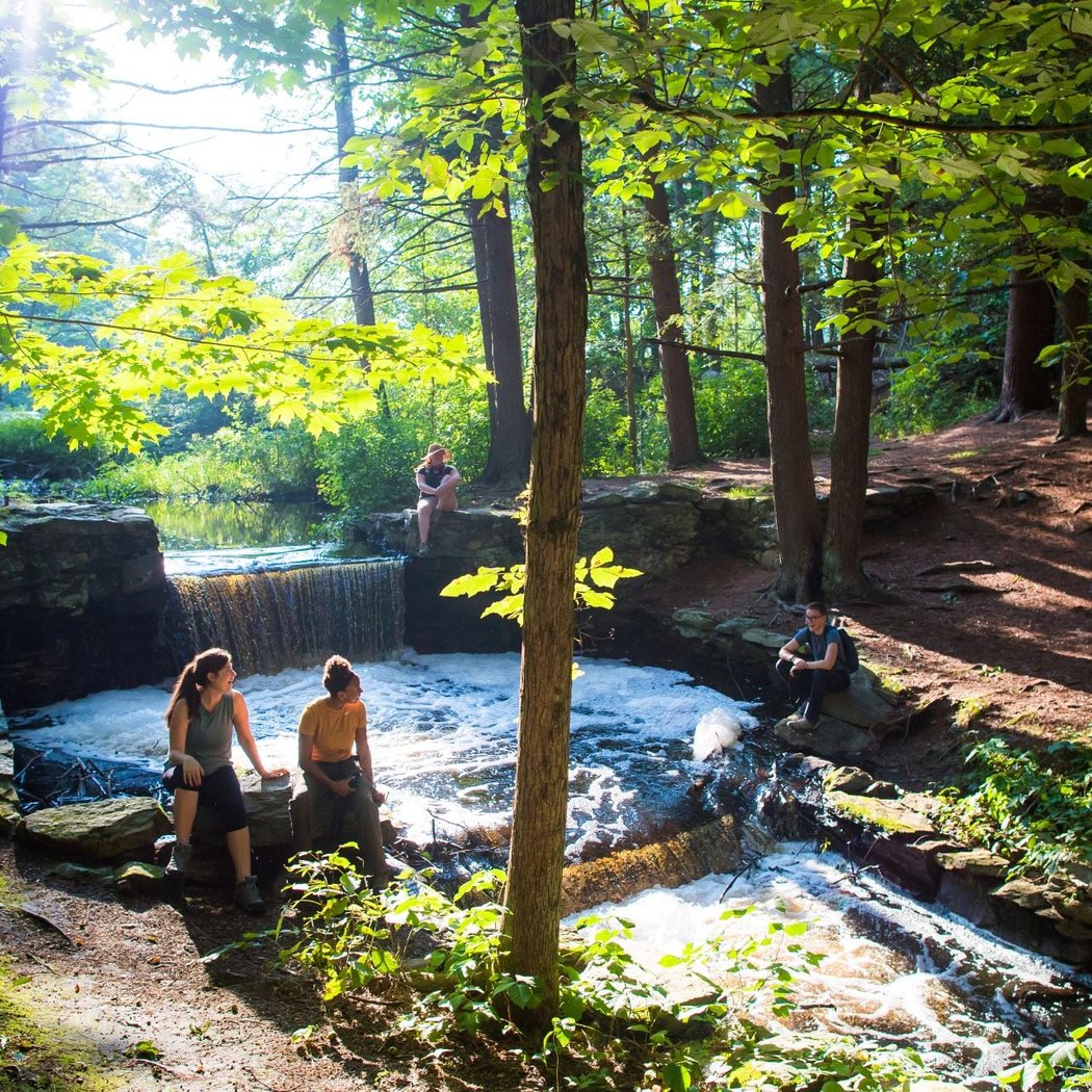Mass Audubon's Broad Meadow Brook Conservation Center and Wildlife Sanctuary 1